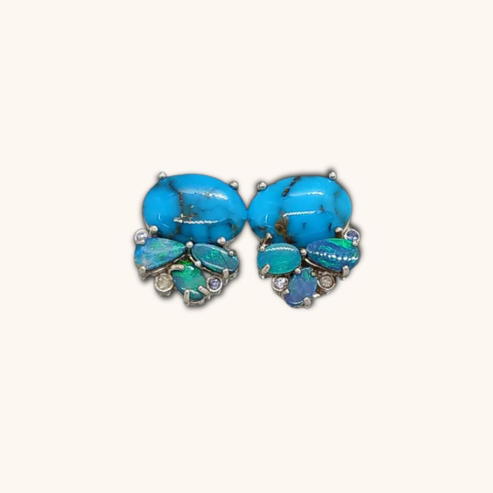 Women's ear tops earrings