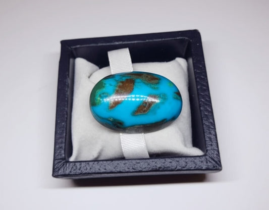 Turquoise (shajri)