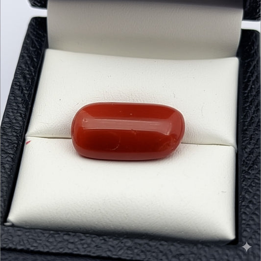 Red Coral