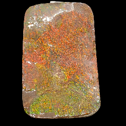 Sliced Ammolite