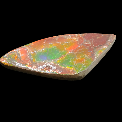 Sliced Ammolite