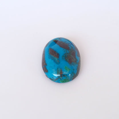 Turquoise (shajri)