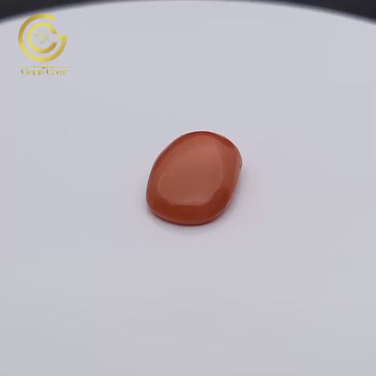 Red Coral